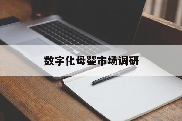 内江市数字化母婴市场调研(数字化母婴市场调研报告)