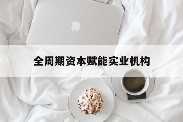 内江市全周期资本赋能实业机构(全周期管理)